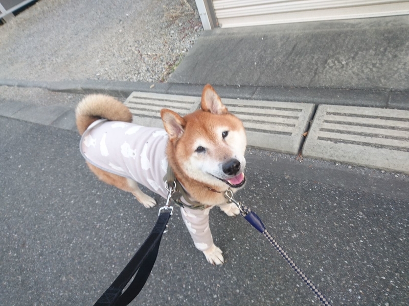 f:id:miyuki1967:20181227153747j:image:w450