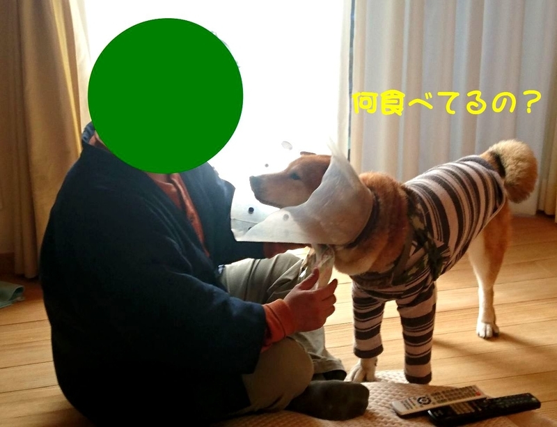 f:id:miyuki1967:20190111111030j:image:w450