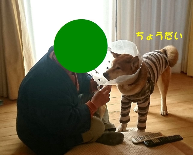 f:id:miyuki1967:20190111111035j:image:w450