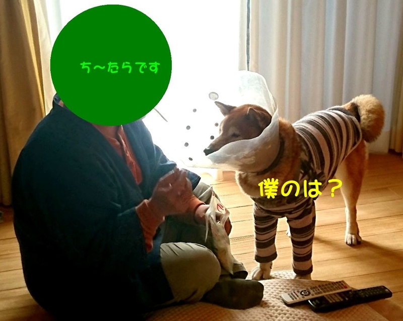 f:id:miyuki1967:20190111111039j:image:w450