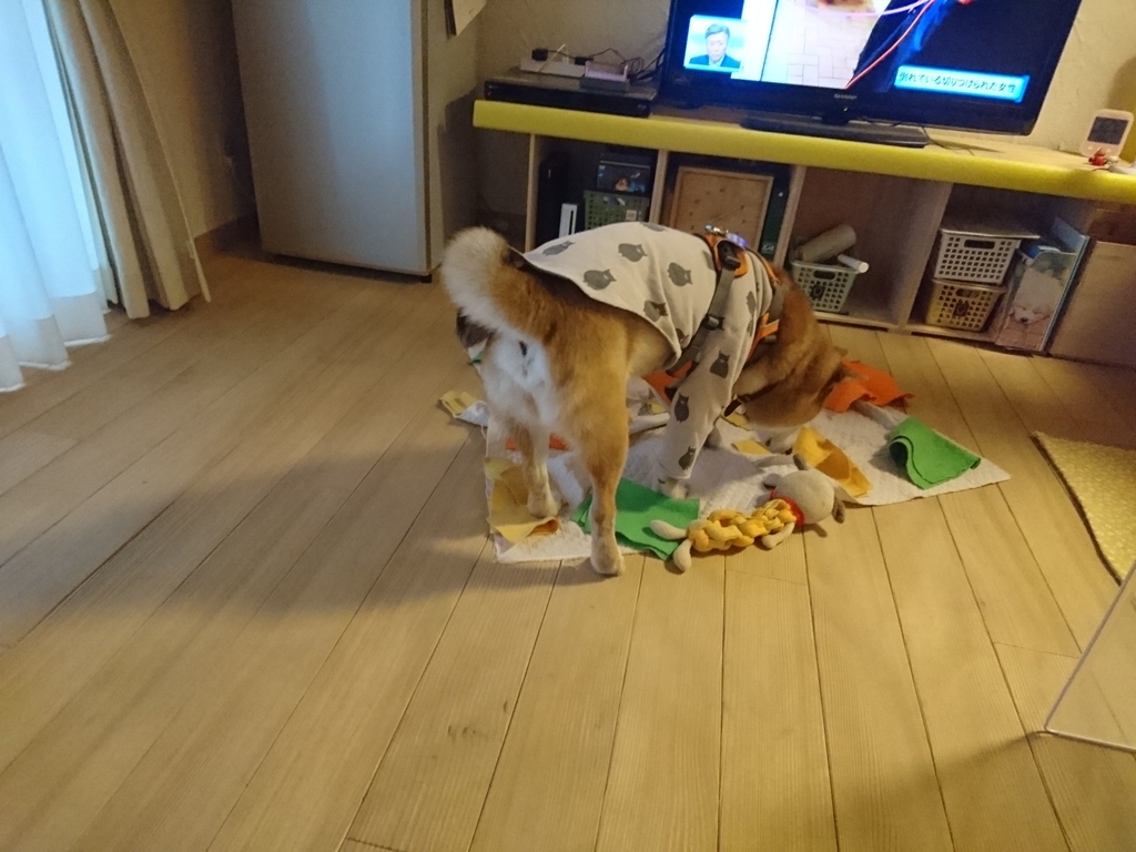 f:id:miyuki1967:20190215104644j:plain:w450