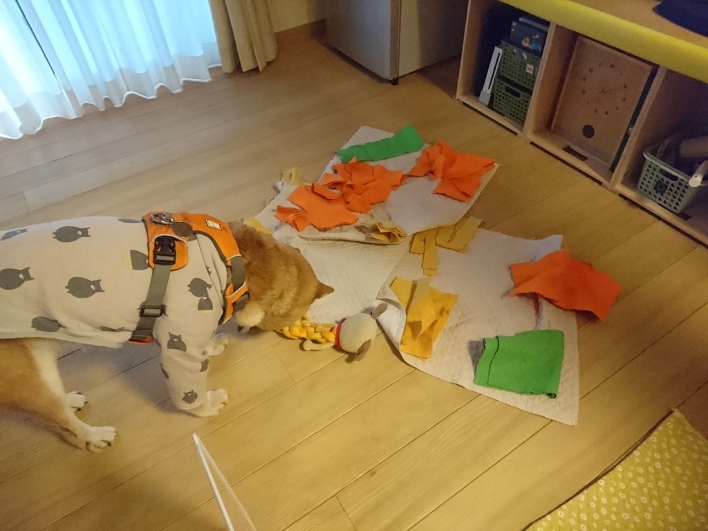 f:id:miyuki1967:20190215104727j:plain:w450