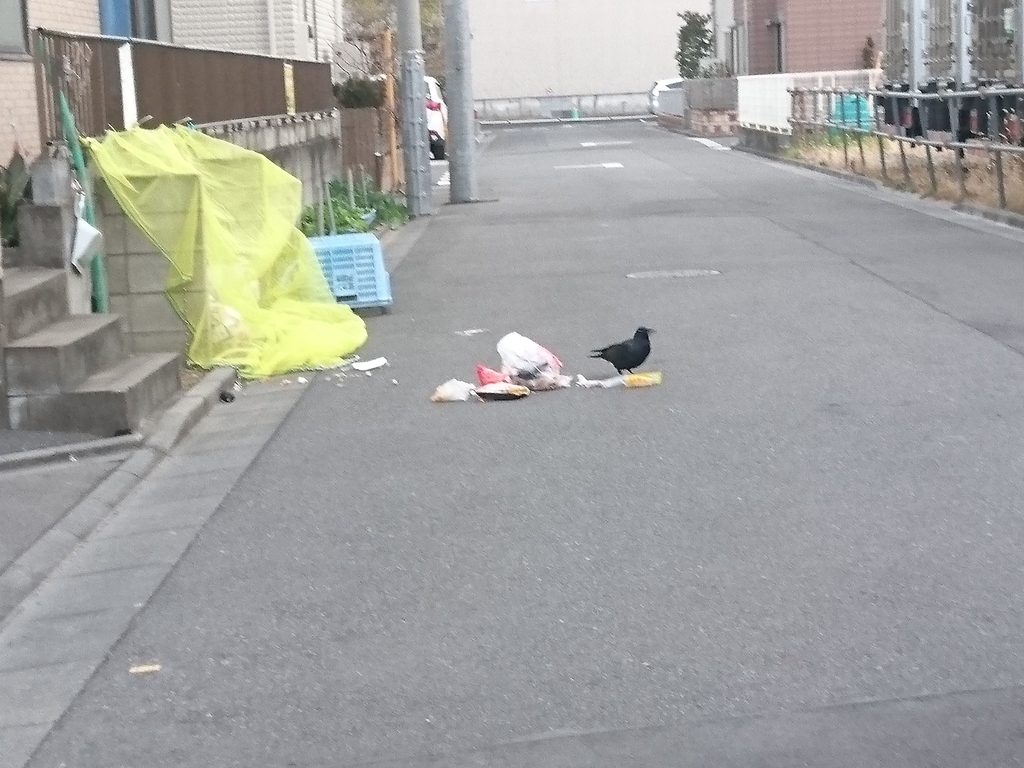 f:id:miyuki1967:20190215104906j:plain:w450