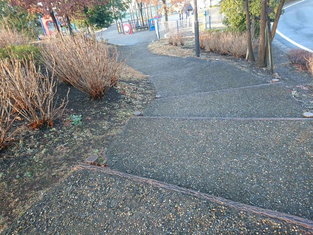 f:id:miyuki1967:20190215114637j:plain:w450