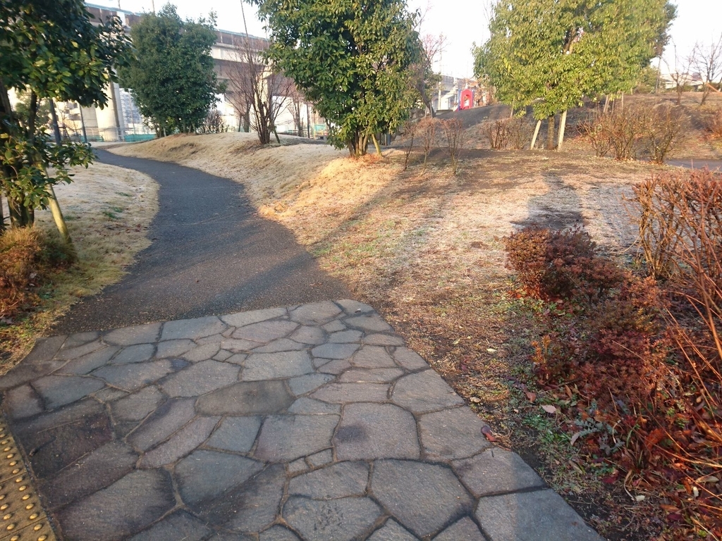 f:id:miyuki1967:20190215114731j:plain:w450