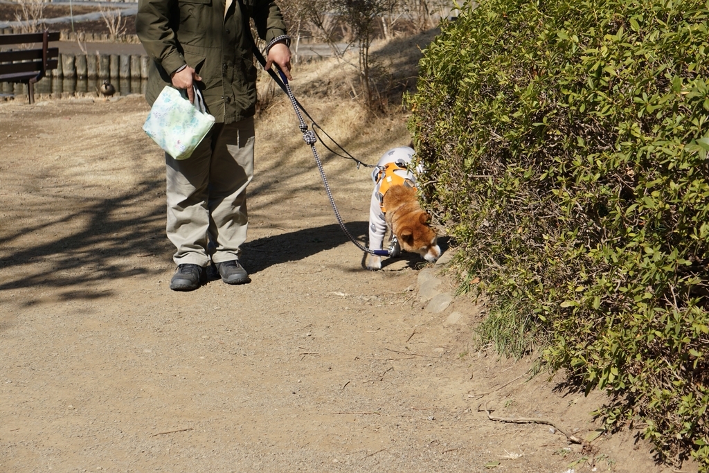 f:id:miyuki1967:20190218111805j:plain:w450