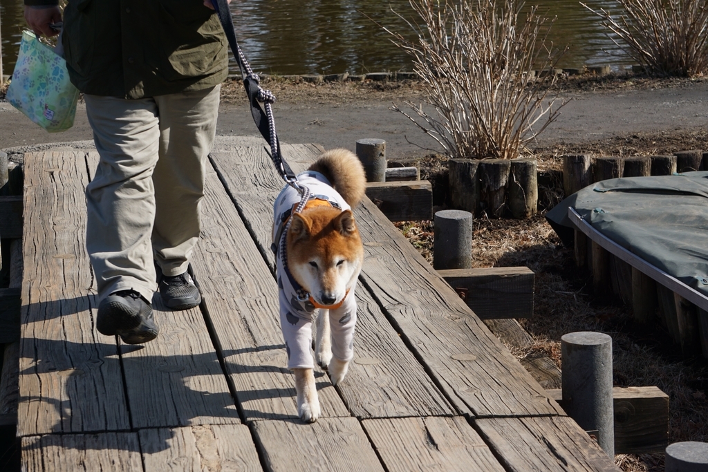 f:id:miyuki1967:20190218111926j:plain:w450