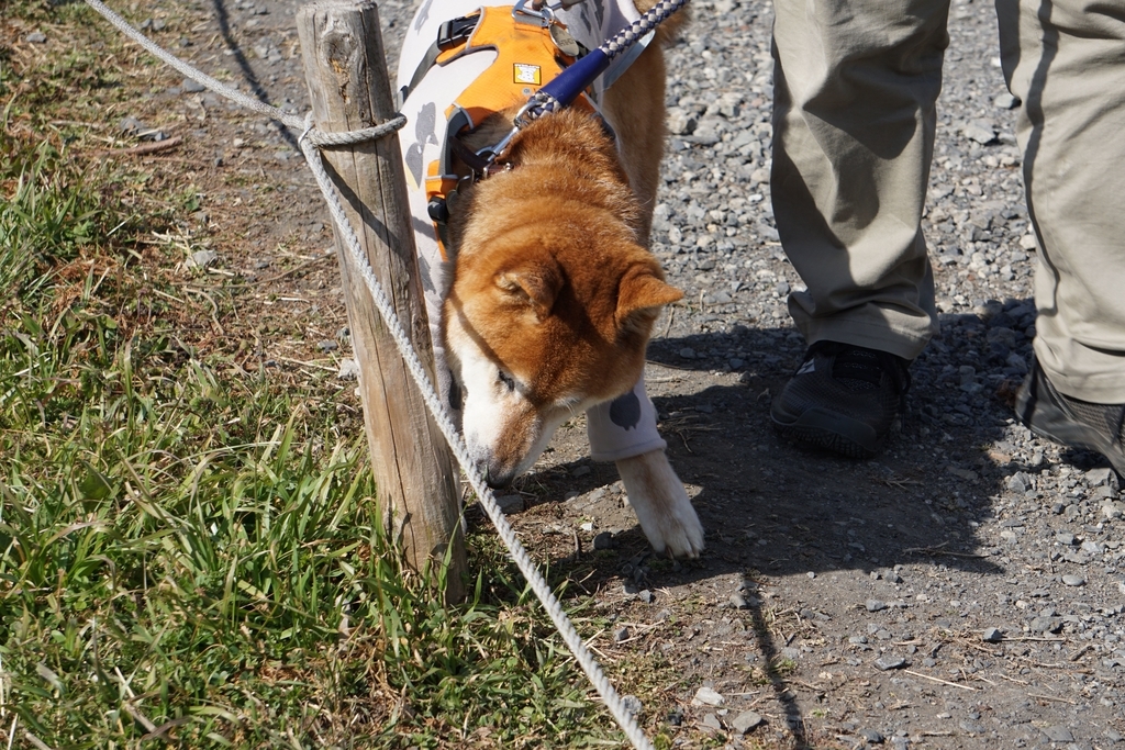 f:id:miyuki1967:20190218111935j:plain:w450