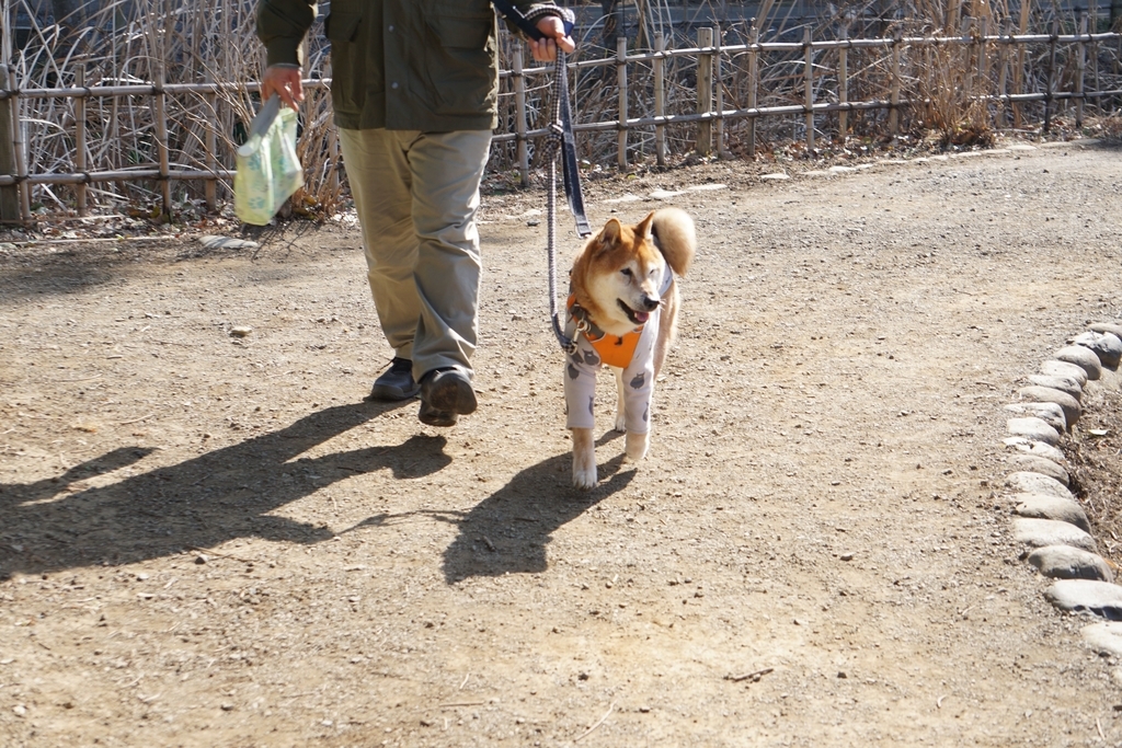 f:id:miyuki1967:20190218111954j:plain:w450