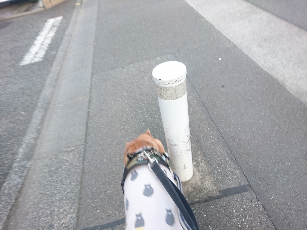 f:id:miyuki1967:20190227113506j:plain:w450