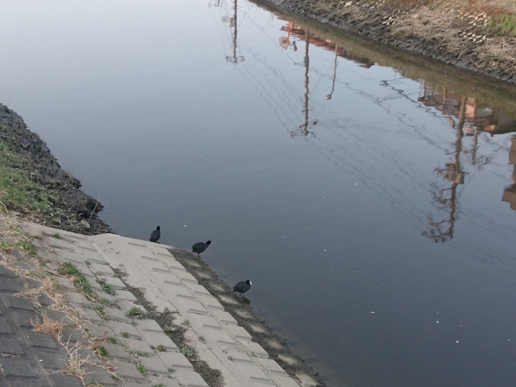 f:id:miyuki1967:20190227113511j:plain:w450