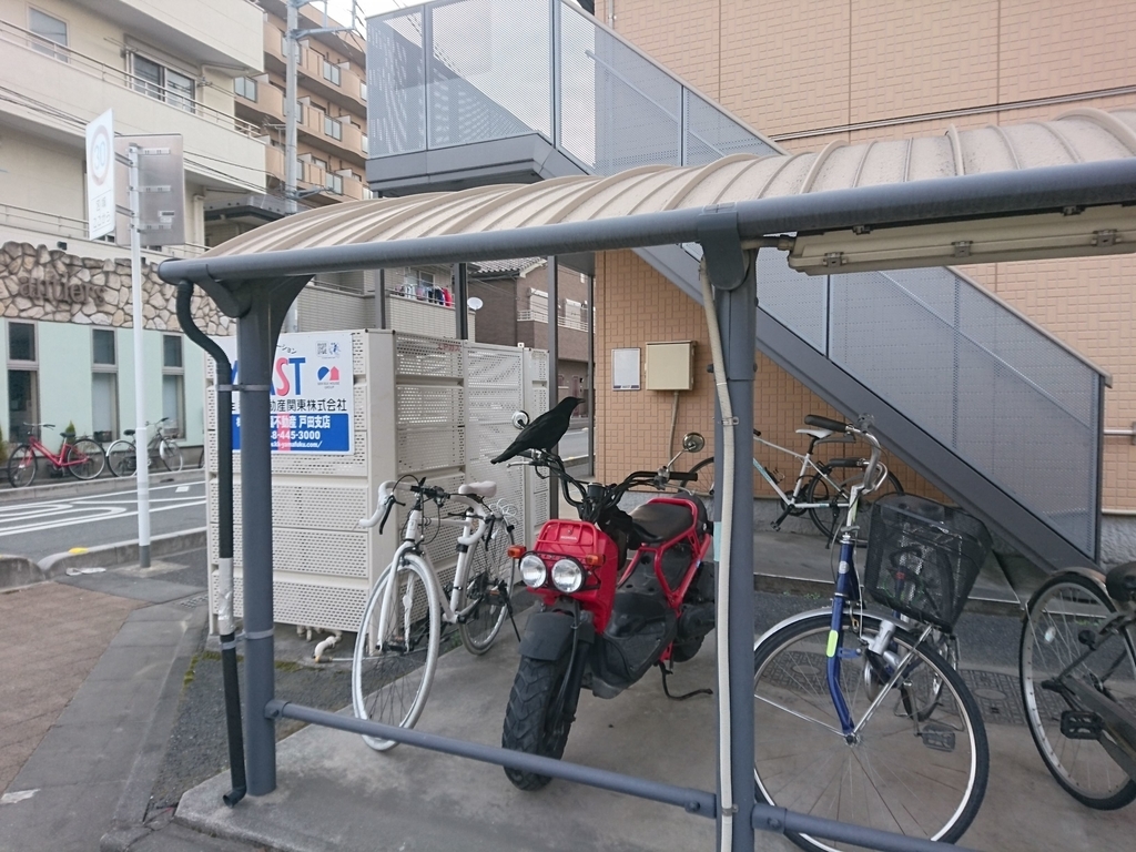 f:id:miyuki1967:20190227113515j:plain:w450