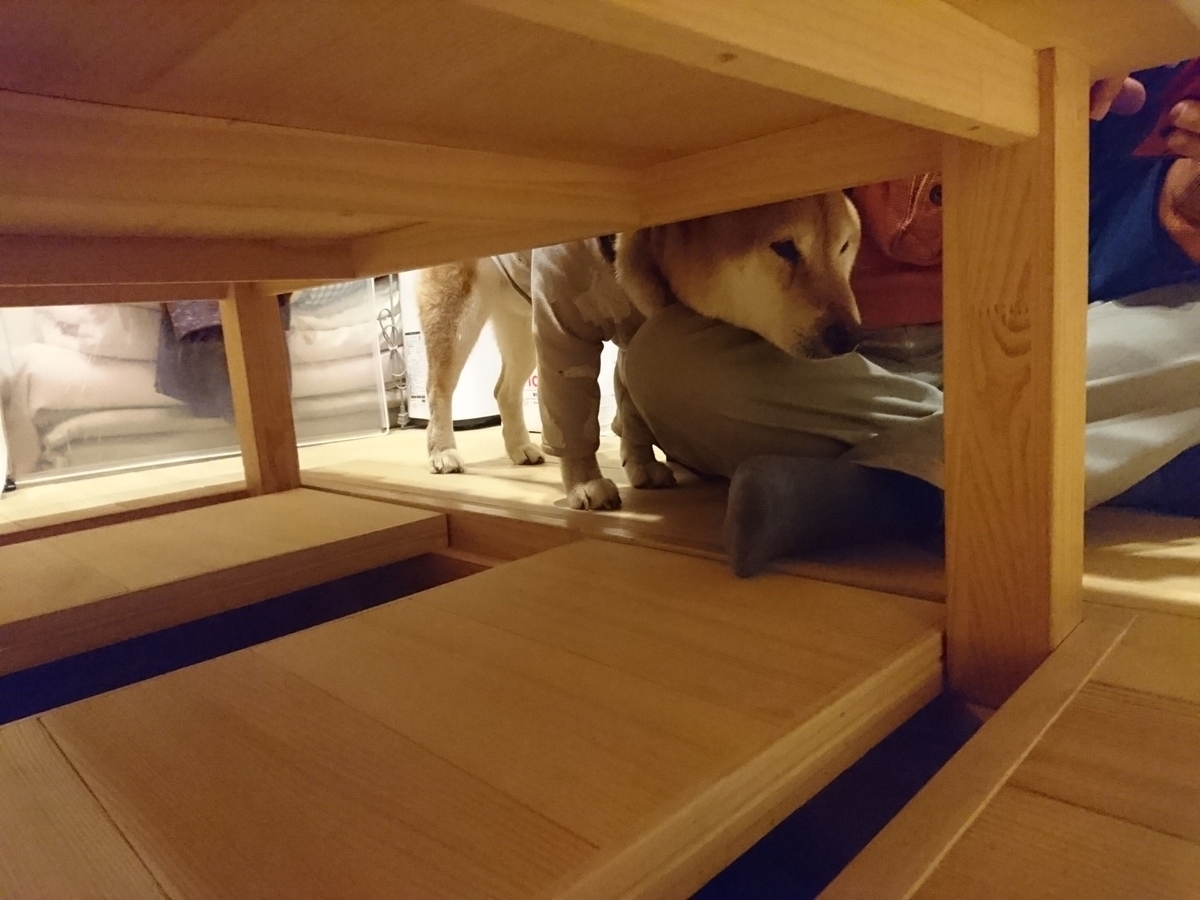 f:id:miyuki1967:20190316154509j:plain:w450