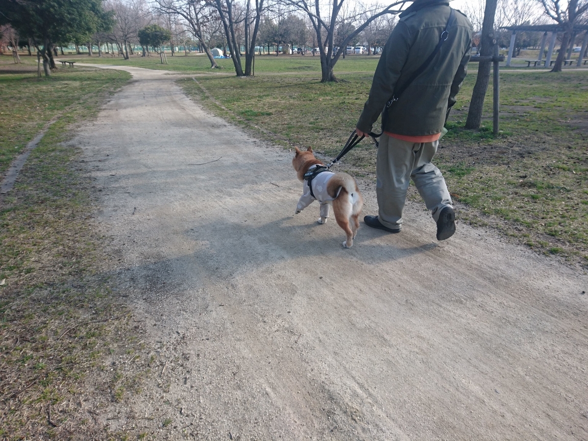 f:id:miyuki1967:20190318112827j:plain:w450