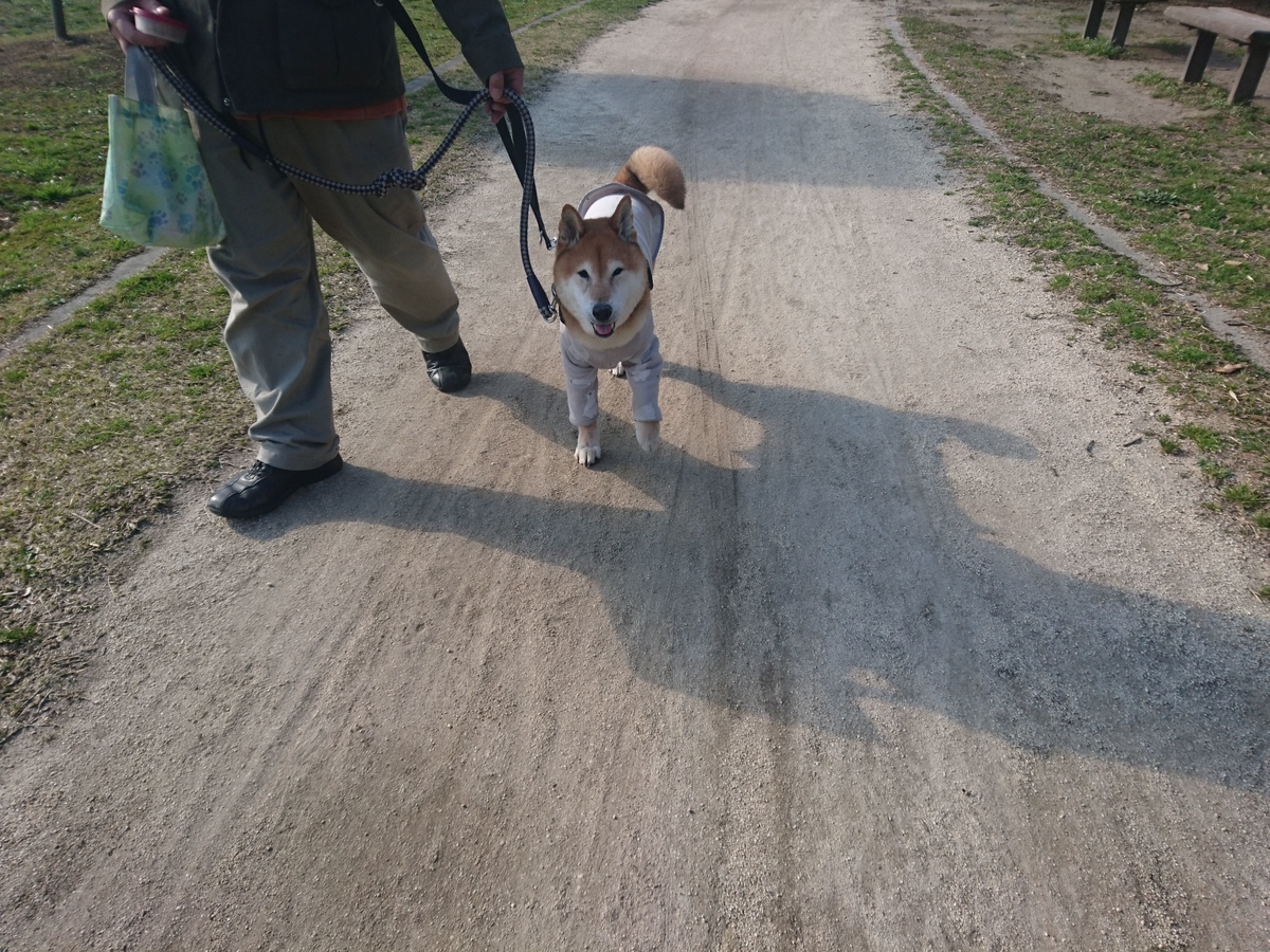 f:id:miyuki1967:20190318113217j:plain:w450