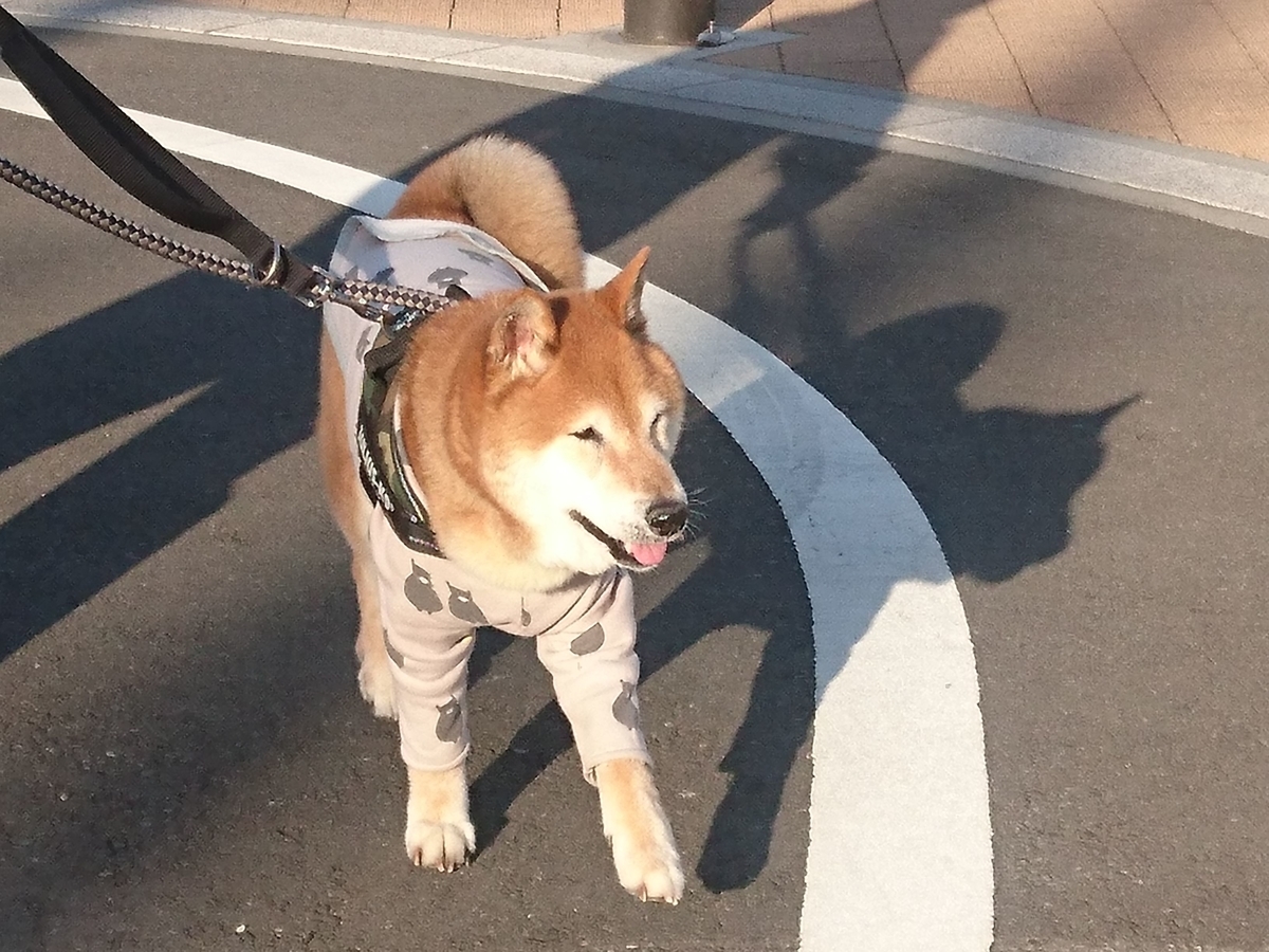 f:id:miyuki1967:20190319105357j:plain:w450