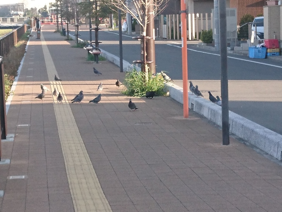 f:id:miyuki1967:20190319105405j:plain:w450