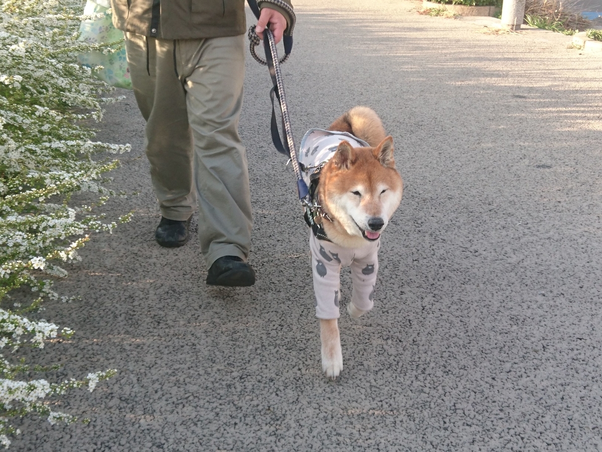 f:id:miyuki1967:20190319105424j:plain:w450