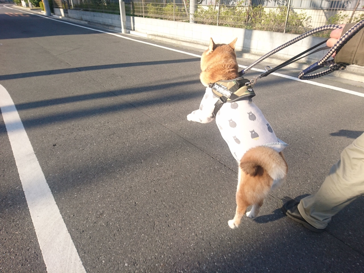 f:id:miyuki1967:20190319105907j:plain:w450