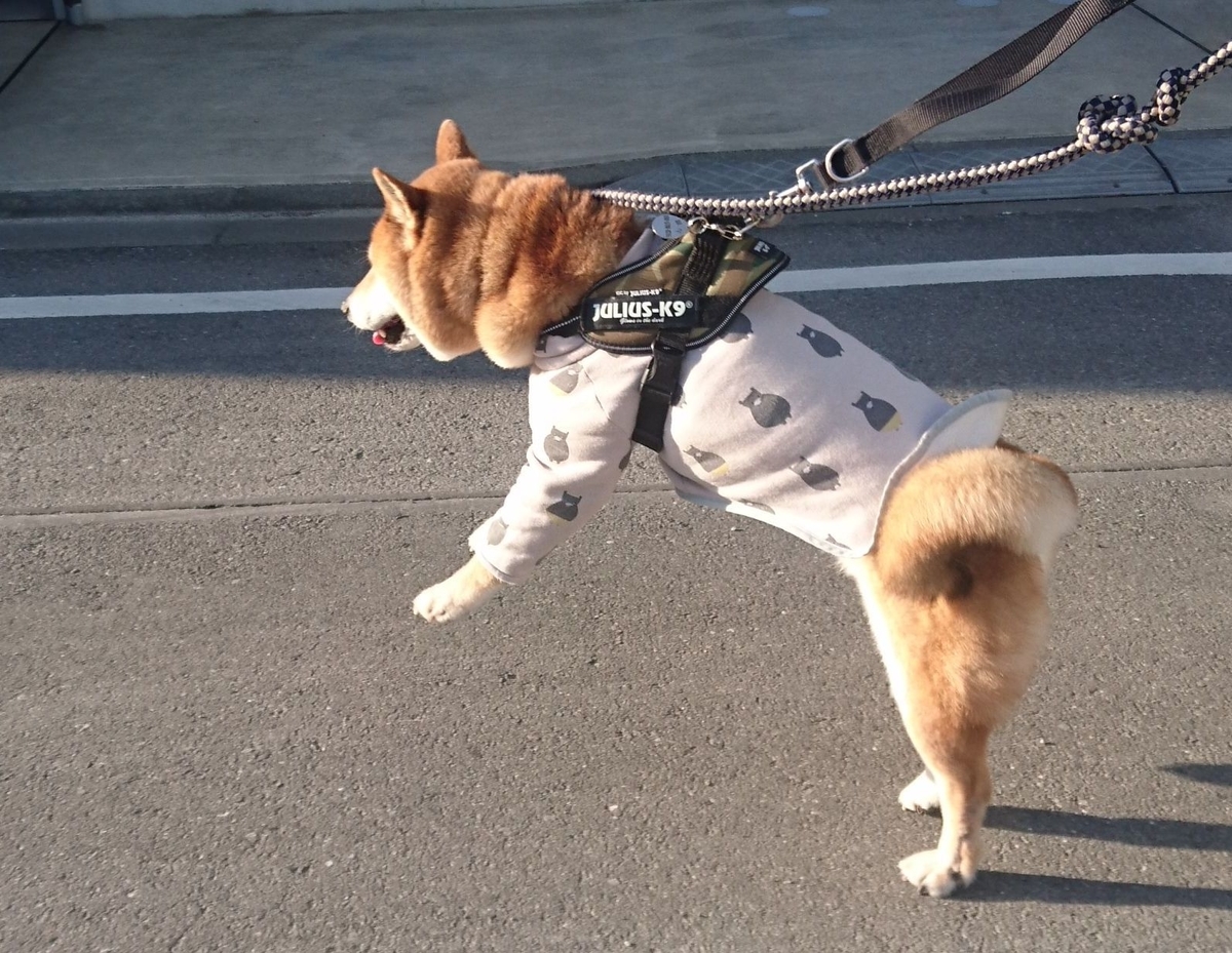 f:id:miyuki1967:20190319110345j:plain:w450