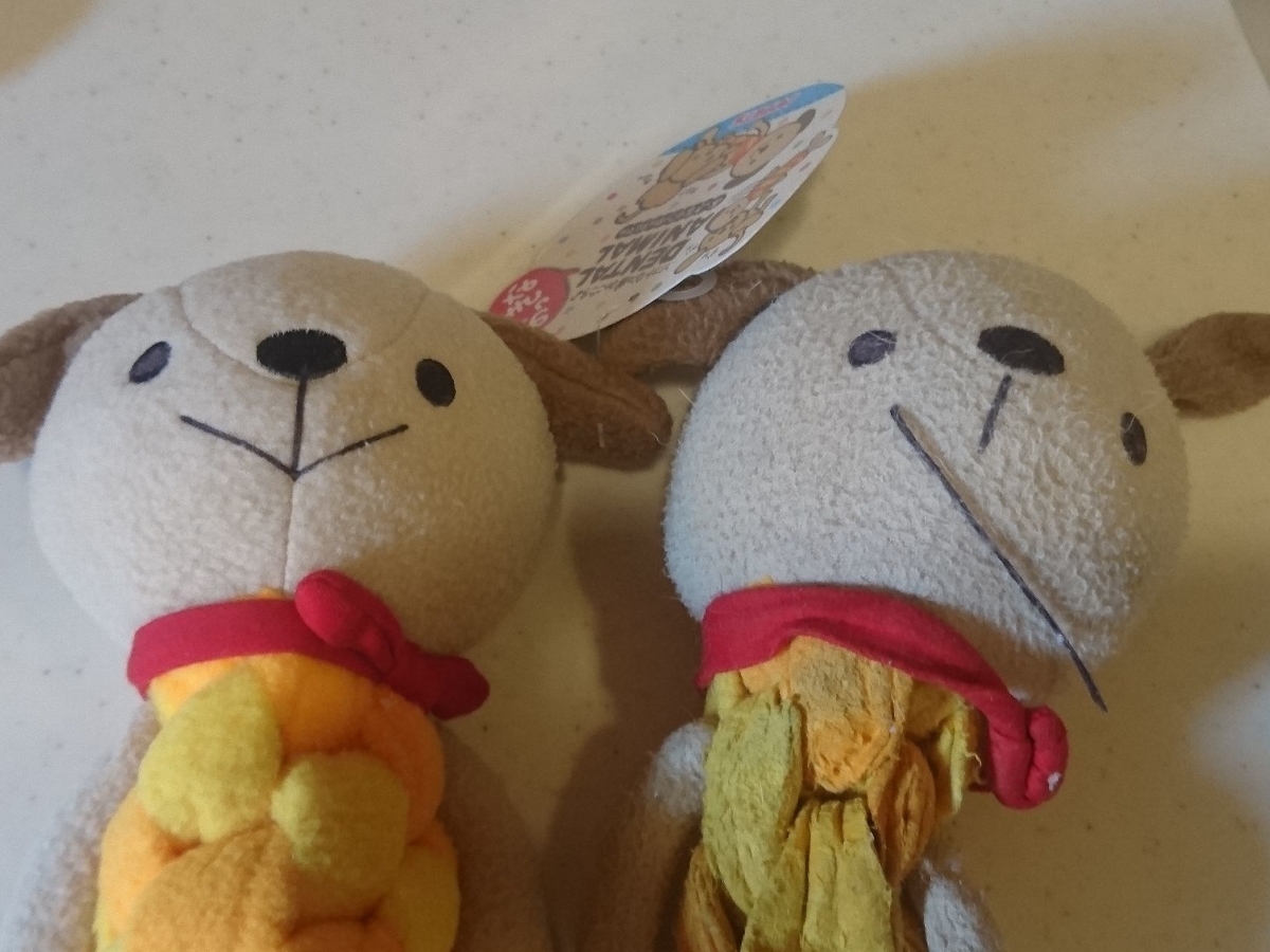 f:id:miyuki1967:20190626101518j:plain:w450 f:id:miyuki1967:20190626101518j:plain:w450