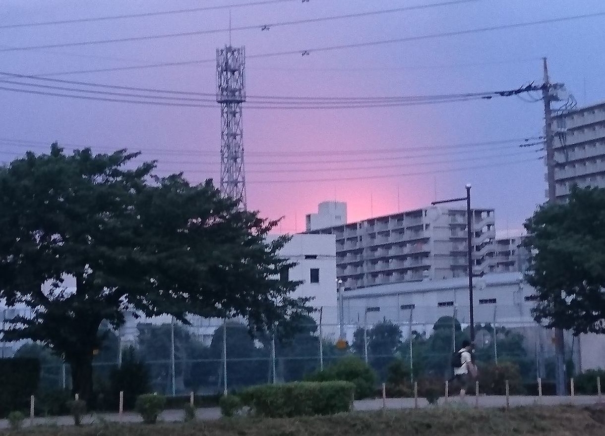 f:id:miyuki1967:20190626110732j:plain:w450 f:id:miyuki1967:20190626110732j:plain:w450