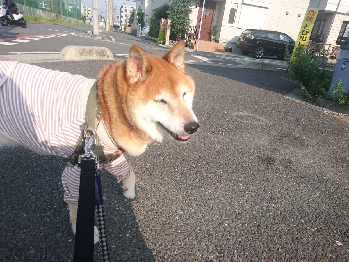 f:id:miyuki1967:20190626112151j:plain:w450 f:id:miyuki1967:20190626112151j:plain:w450