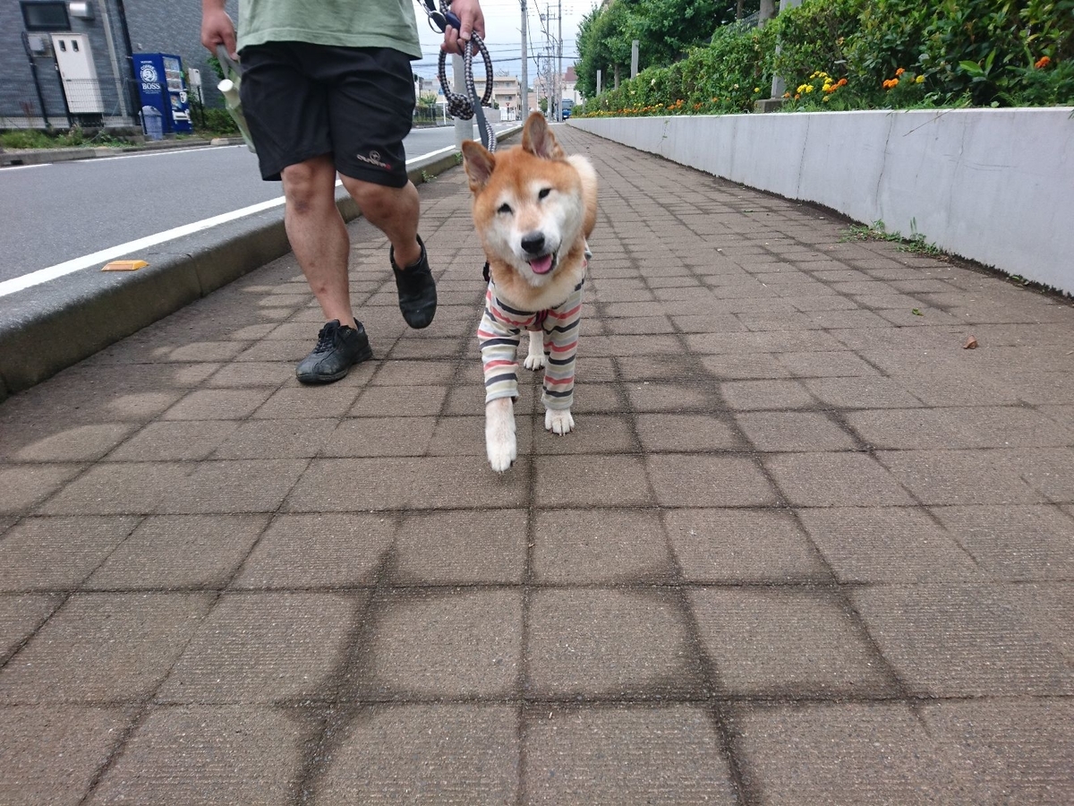 f:id:miyuki1967:20190708104738j:plain:w450