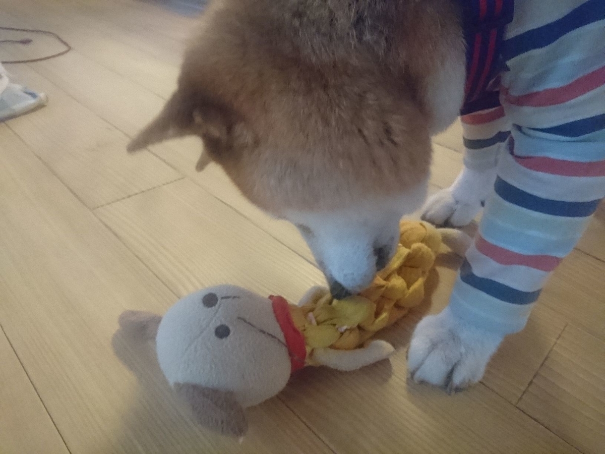 f:id:miyuki1967:20190709092948j:plain:w450