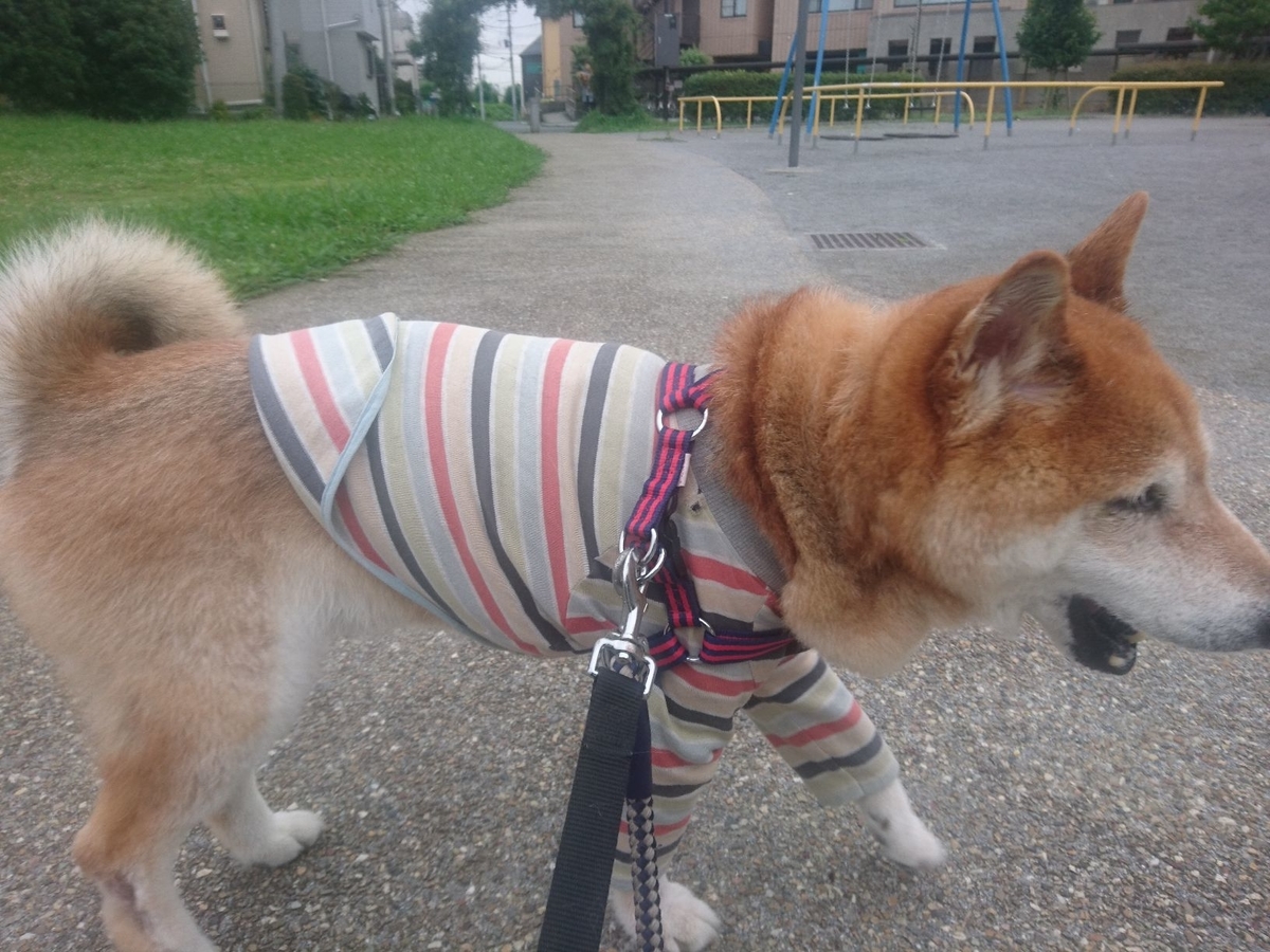 f:id:miyuki1967:20190709093045j:plain:w450