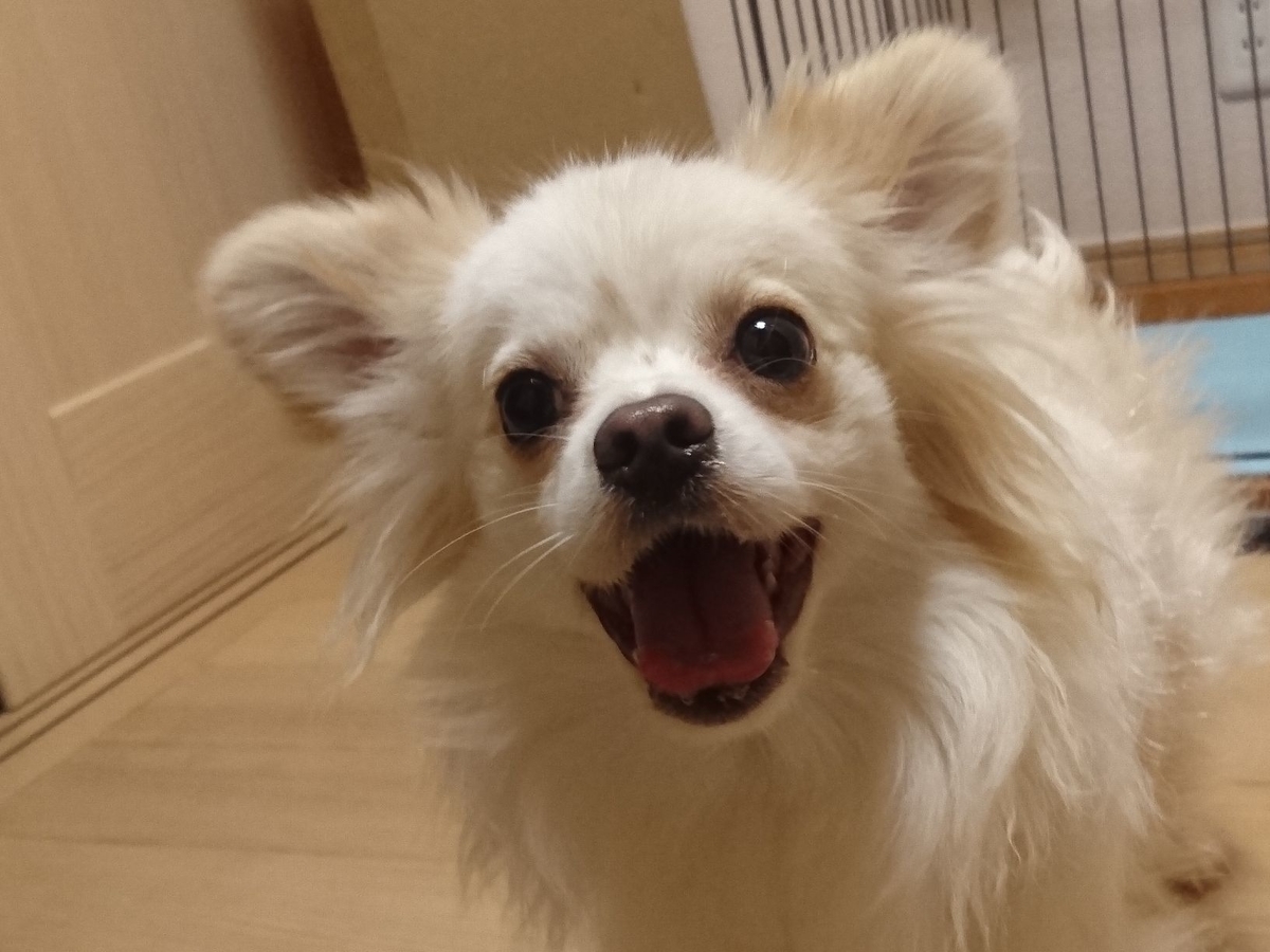 f:id:miyuki1967:20190717114311j:plain:w450