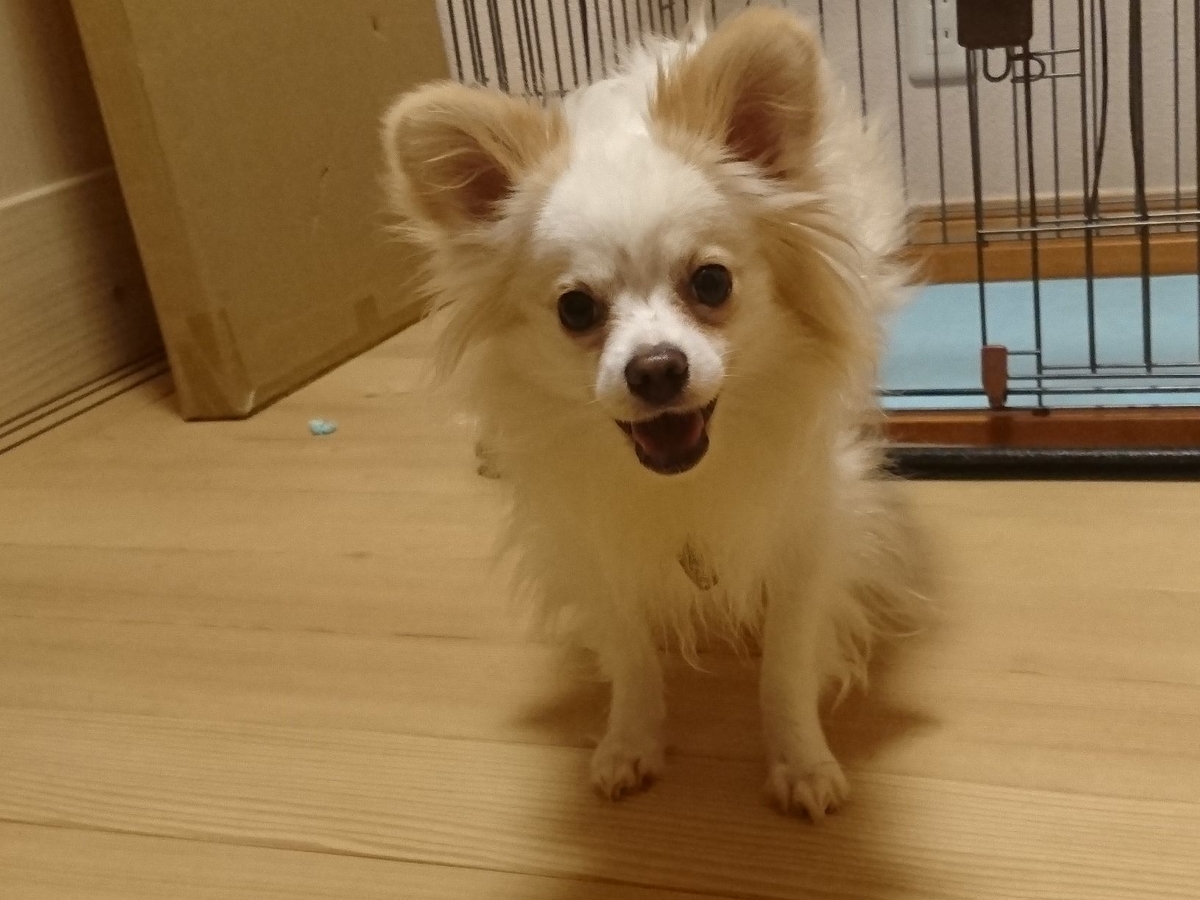 f:id:miyuki1967:20190717115356j:plain:w450