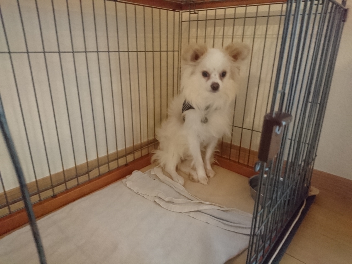 f:id:miyuki1967:20190717115611j:plain:w450