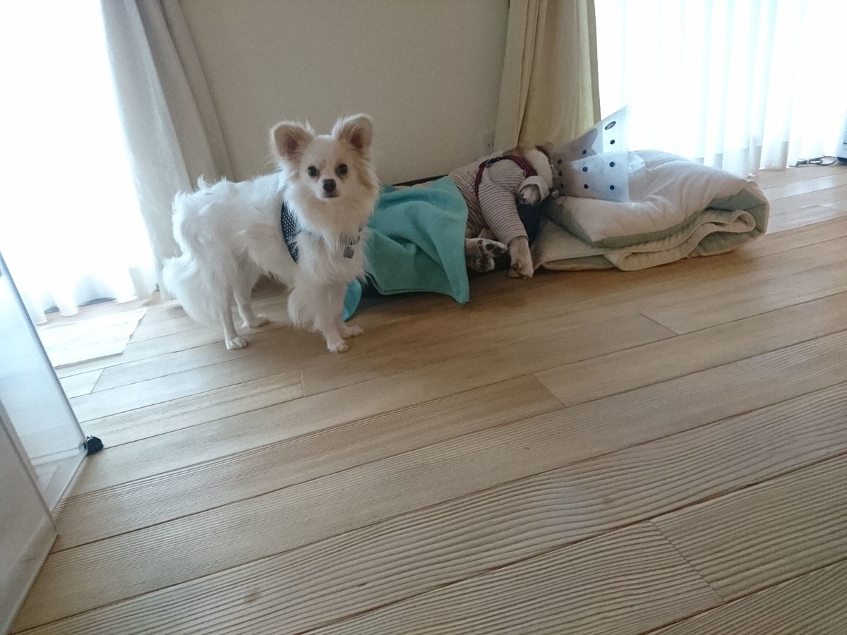 f:id:miyuki1967:20190723105906j:plain:w450