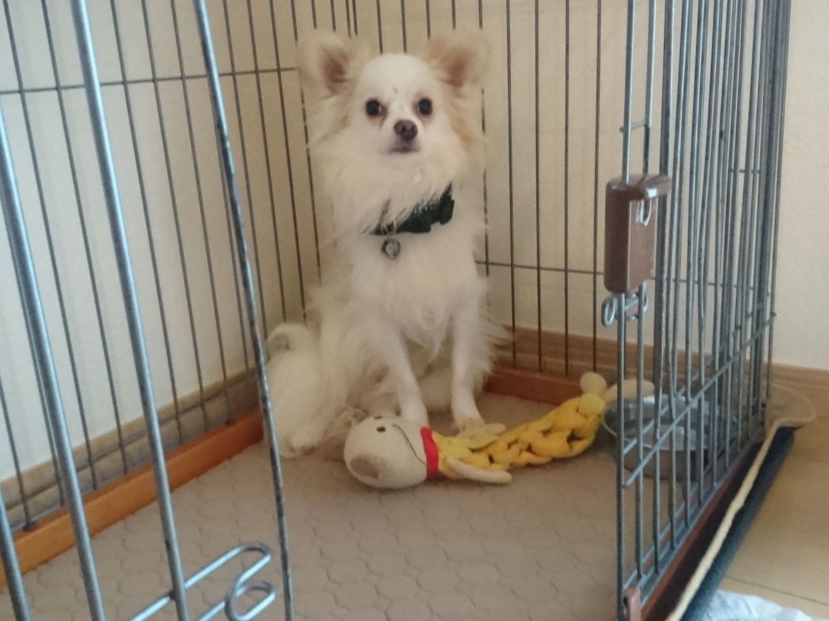 f:id:miyuki1967:20190723110801j:plain:w450