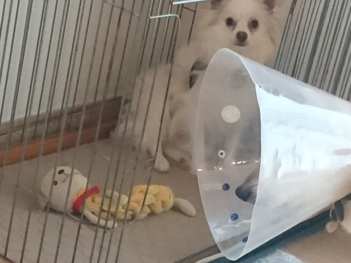 f:id:miyuki1967:20190723111420j:plain:w450