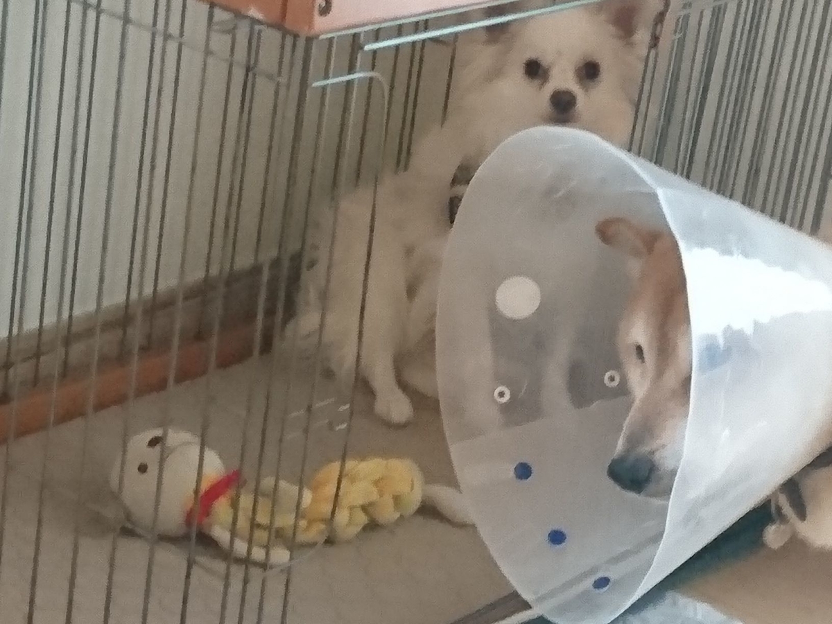 f:id:miyuki1967:20190723111526j:plain:w450