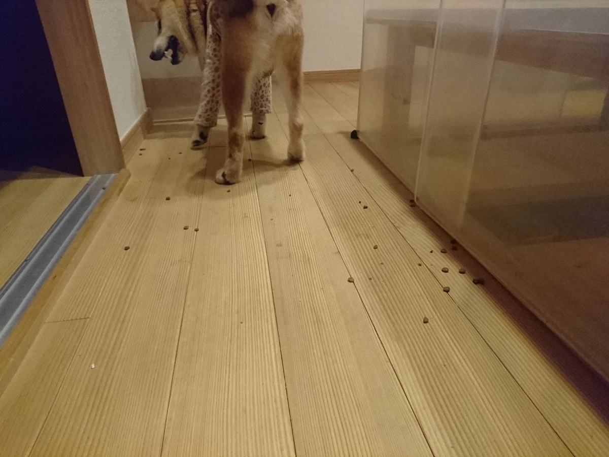 f:id:miyuki1967:20190723113910j:plain:w450