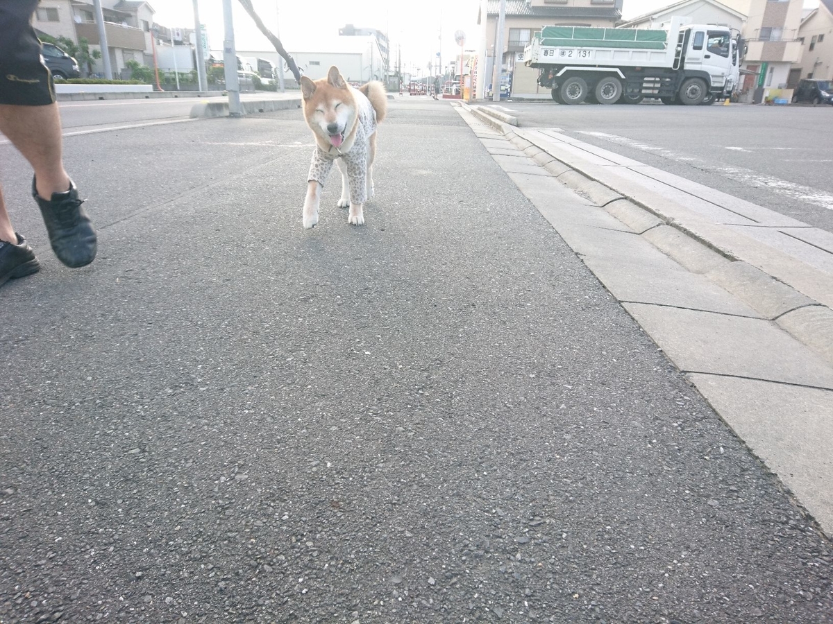 f:id:miyuki1967:20190724110616j:plain:w450