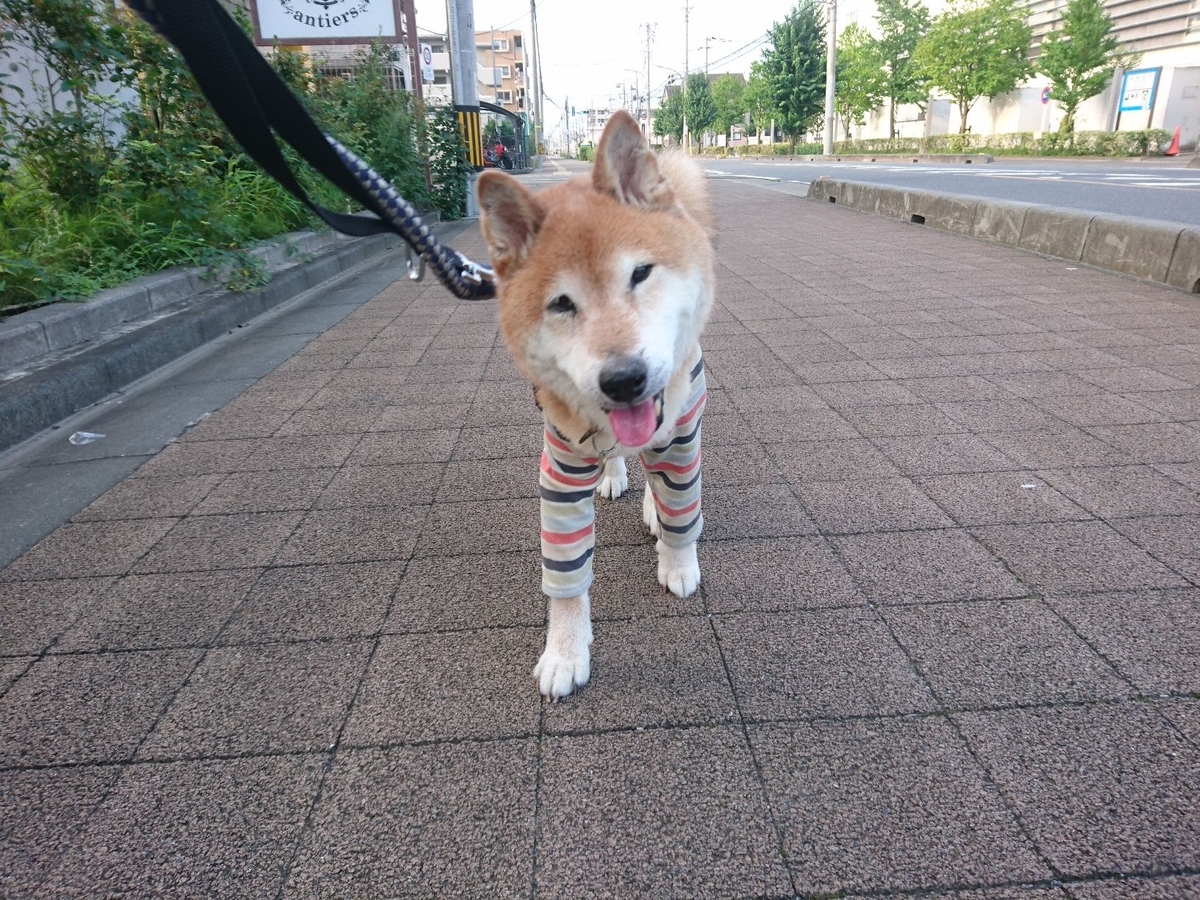 f:id:miyuki1967:20190730102648j:plain:w450