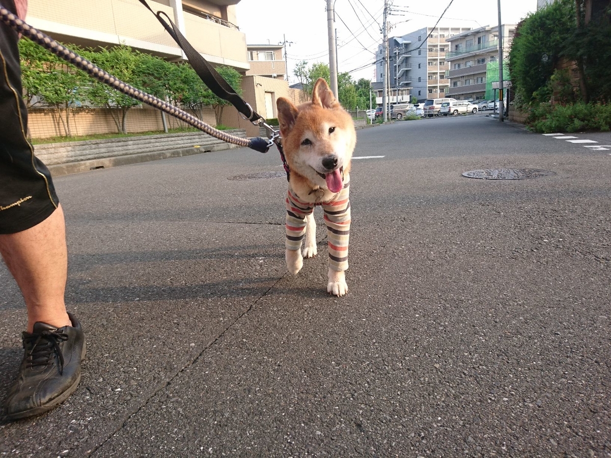 f:id:miyuki1967:20190730102747j:plain:w450