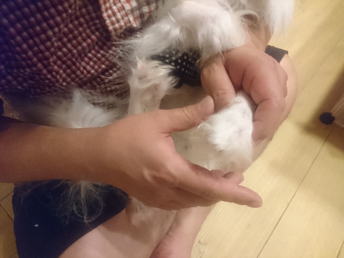 f:id:miyuki1967:20190821115119j:plain:w450 f:id:miyuki1967:20190821115119j:plain:w450