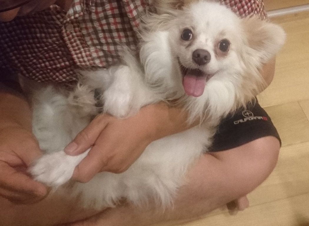 f:id:miyuki1967:20190821120647j:plain:w450 f:id:miyuki1967:20190821120647j:plain:w450