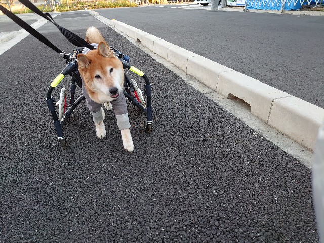 f:id:miyuki1967:20191107112036j:plain:w450