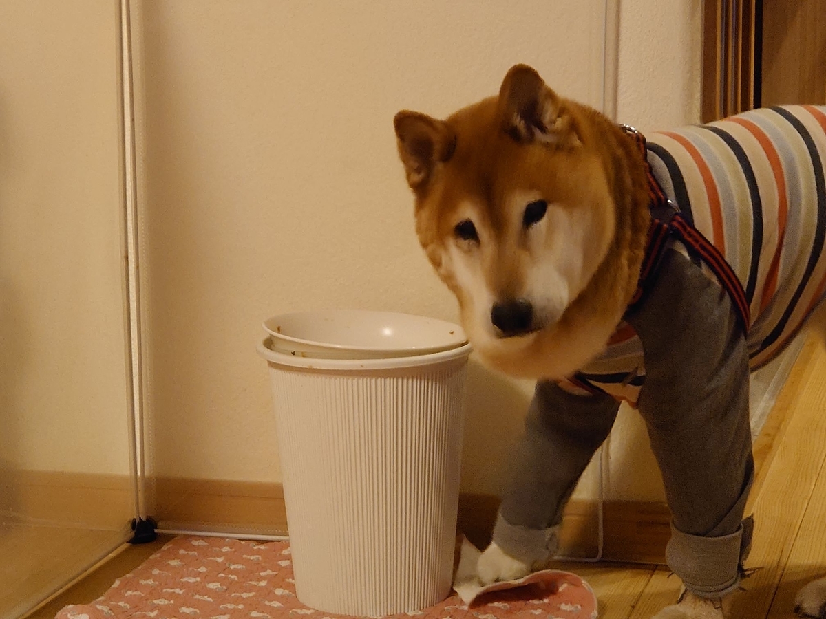 f:id:miyuki1967:20191118113334j:plain:w450