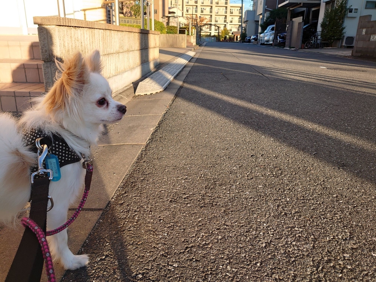 f:id:miyuki1967:20191120113220j:plain:w450