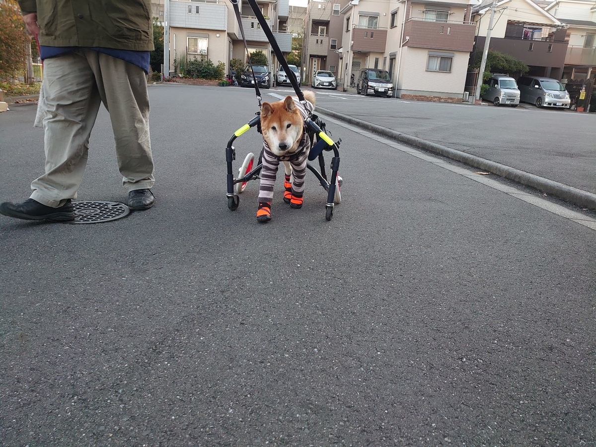 f:id:miyuki1967:20191129100147j:plain:w450