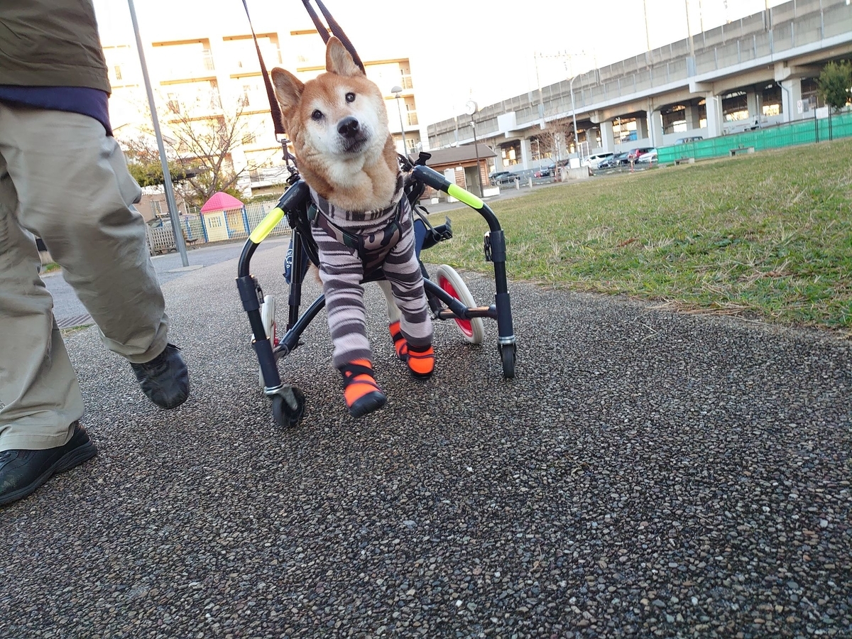 f:id:miyuki1967:20191129100229j:plain:w450