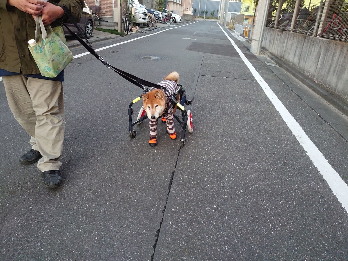 f:id:miyuki1967:20191129101936j:plain:w450