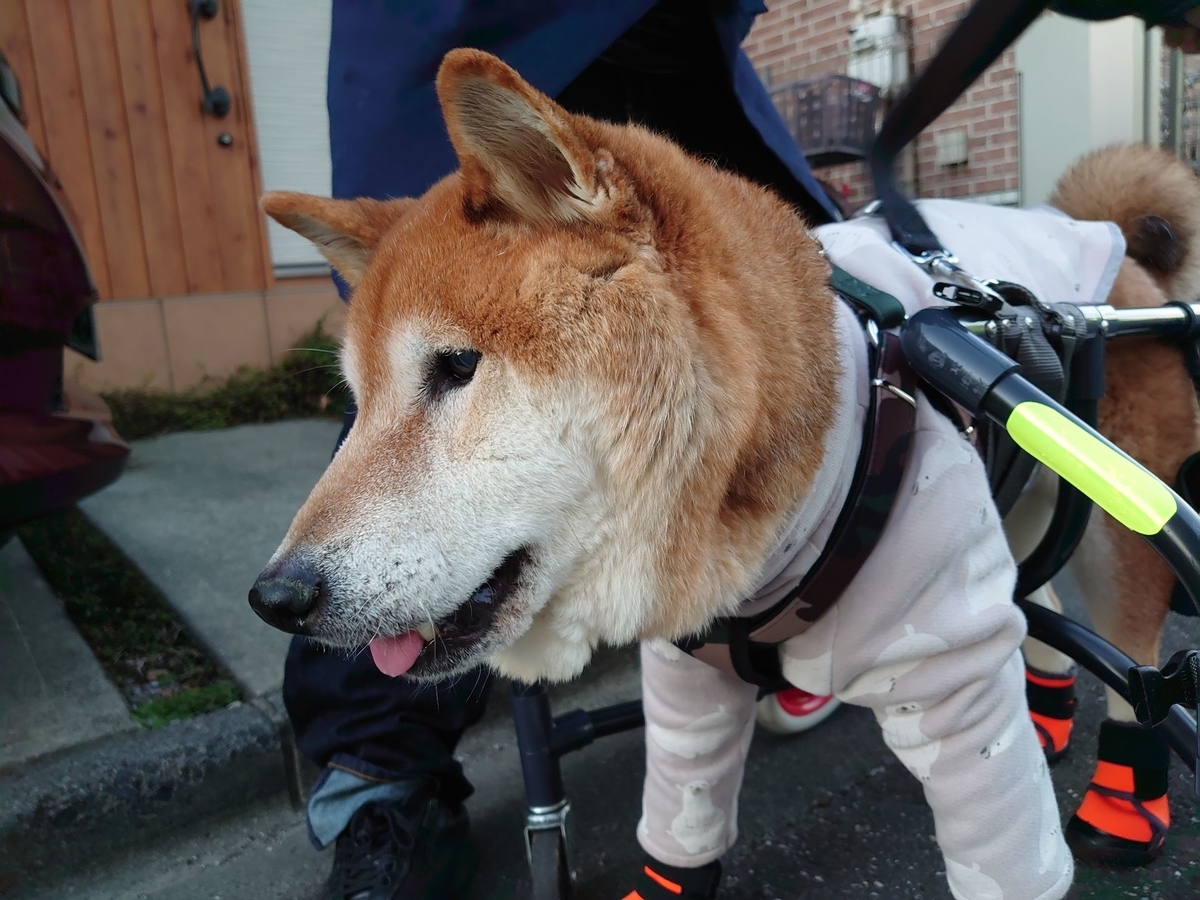 f:id:miyuki1967:20191205114550j:plain:w450